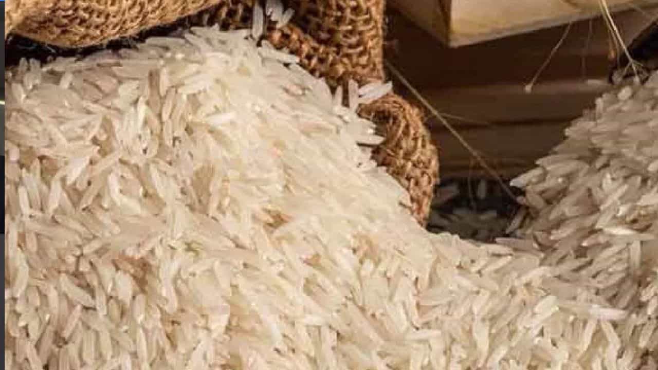 Rice cheaper: ২৫ টাকা কেজি দরে চাল ও ২৭ টাকা দরে গম বিক্রি করবে সরকার, কোথায় পাওয়া যাবে জানুন Rice cheaper: ২৫ টাকা কেজি দরে চাল ও ২৭ টাকা দরে গম বিক্রি করবে সরকার, কোথায় পাওয়া যাবে জানুন