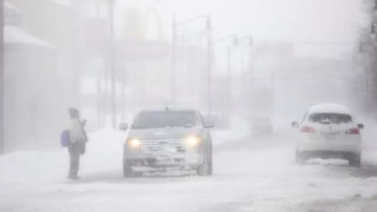 Snow storm: কনকনে ঠান্ডা ও তুষারঝড়ে মৃত বেড়ে ৮৯