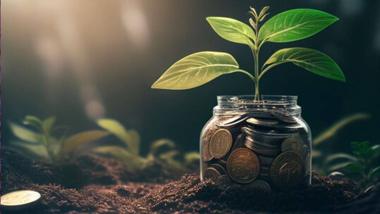 Money Plant Tips: বাড়িতে মানিপ্ল্যান্ট থাকা সত্ত্বেও উন্নতি নেই? আর্থিক অবস্থা না পাল্টানোর আসল কারণ জানুন