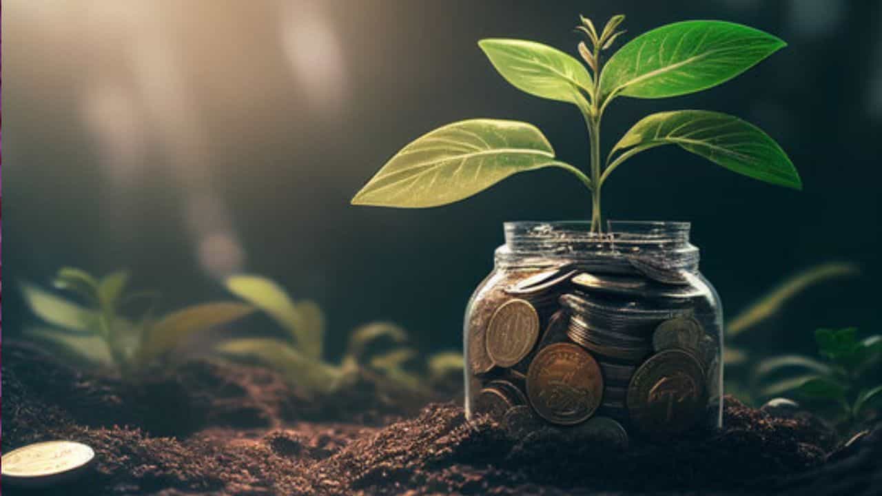 Money Plant Tips: বাড়িতে মানিপ্ল্যান্ট থাকা সত্ত্বেও উন্নতি নেই? আর্থিক অবস্থা না পাল্টানোর আসল কারণ জানুন Money Plant Tips: বাড়িতে মানিপ্ল্যান্ট থাকা সত্ত্বেও উন্নতি নেই? আর্থিক অবস্থা না পাল্টানোর আসল কারণ জানুন