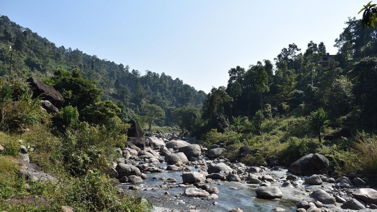 রকি আইল্যান্ড - উত্তরবঙ্গের এই জায়গাটি কোনও দ্বীপ নয়। বড় বড় পাথরে ভরা একটি ঝরনা। ঝরনার জলের মধ্যে বড় বড় পাথরগুলি এমনভাবে ফেলা আছে, যে সেগুলিকেই একেকটি দ্বীপ বলে মনে হতে পারে। আসার পথে দুই ধারে রয়েছে অপরূপ সুন্দর সমস্ত চা বাগান। 