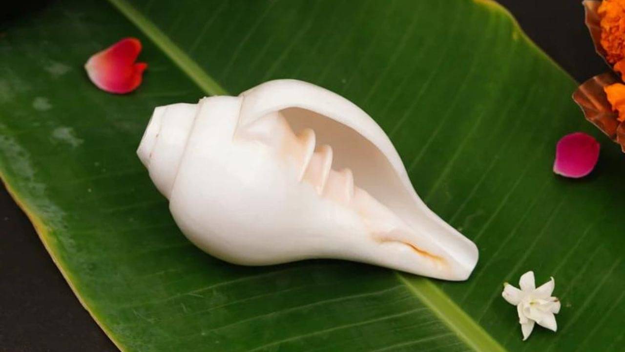 Shankha Importance: শুভকাজে শঙ্খ কেন তিনবার বাজানো হয়? এর অর্থ জানলে অবাক হবেন আপনি