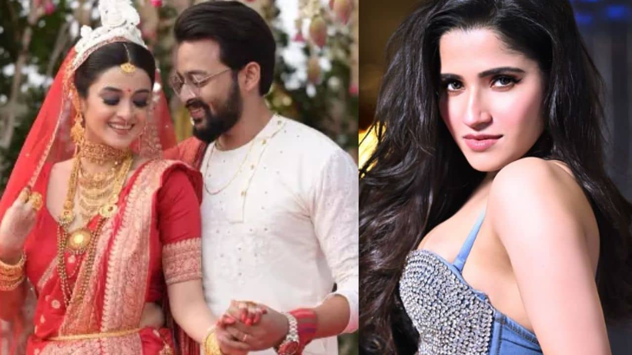 এবার কি দর্শনার ভূত তাড়াতে দেখা যাবে ‘ওঝা’ সৌরভকে?