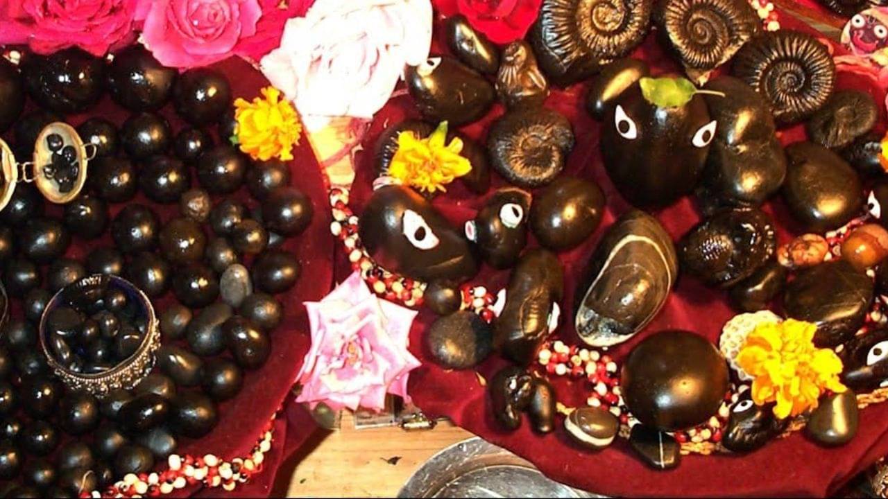 Vishnu Puja: ভুলেও নারায়ণ-বিষ্ণুকে কোন কোন ফুল একেবারেই নিবেদন করবেন না?