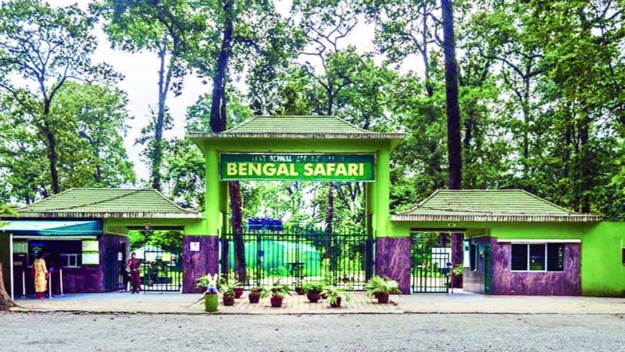 Bengal Safari: সিংহীর নাম বিতর্কের মধ্যেই বেঙ্গল সাফারির ডিরেক্টরকে বদলি Bengal Safari: সিংহীর নাম বিতর্কের মধ্যেই বেঙ্গল সাফারির ডিরেক্টরকে বদলি
