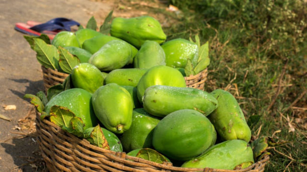 লাউ, উচ্ছে দিয়ে মটর ডাল, বিউলির ডাল, বিভিন্ন রকম সবজির তরকারি এসব খেতে ভুলবেন না। আর তাই রইল দারুণ একটি রেসিপি। খাঁটি বাঙালি এই রেসিপি খেতে লাগবে খুব ভাল আর রান্না করাও বেশ সহজ। রইল রেসিপি 