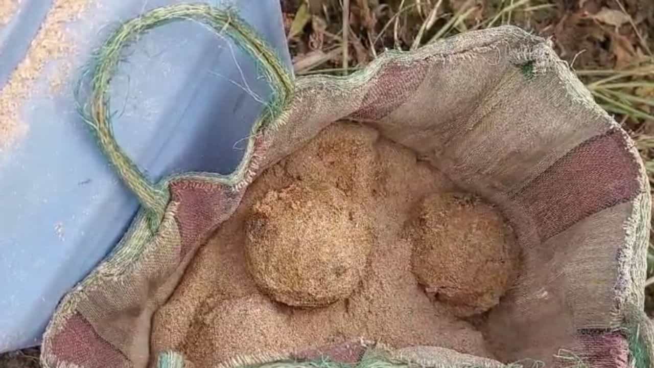 Bomb Recover: মুর্শিদাবাদ না বীরভূম, টক্কর দিচ্ছে কে? Bomb Recover: মুর্শিদাবাদ না বীরভূম, টক্কর দিচ্ছে কে?
