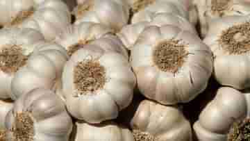 Garlic Prices: সোনার দরে কিনতে হচ্ছে রসুন! কবে কমবে চড়া দাম?