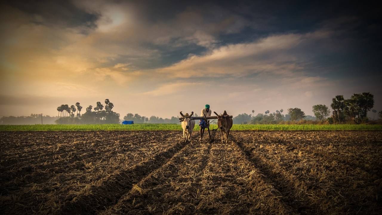 Second highest Land Owner in India: ভারতের প্রতিটি রাজ্যে আছে জমি, সব মিলিয়ে ১৭ কোটি একর! কত টাকার মালিক জানেন?