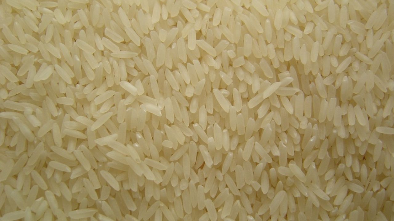 Basmati Rice Export: লোহিত সাগরে অশনি সঙ্কেত, কতটা প্রভাব পড়ছে বাসমতি চাল রফতানিতে