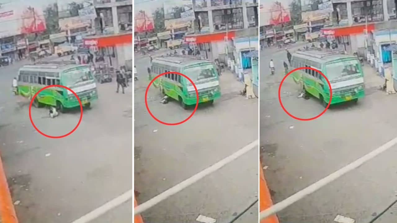 Tragic Accident: প্রথমে সামনের চাকা, পরে পিছনের চাকা, বাসের তলায় পিষে মৃত্যু বাস মালিকের