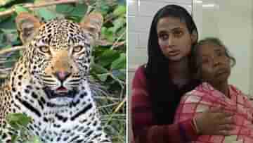 Leopard Attack: ডুয়ার্সের জঙ্গলে চিতাবাঘের সঙ্গে ঘণ্টাখানেকের অসম লড়াই বৃদ্ধার, যে ডার্ক-হর্স, সেই জিতল...