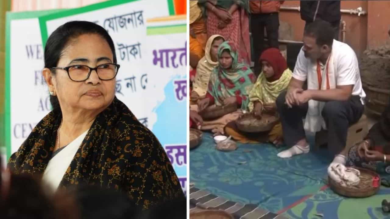 Mamata Banerjee: 'বিড়ি বাঁধতে জানেই না...', রাহুল বাংলা ছাড়তেই নাম না করে খোঁচা মমতার Mamata Banerjee: 'বিড়ি বাঁধতে জানেই না...', রাহুল বাংলা ছাড়তেই নাম না করে খোঁচা মমতার