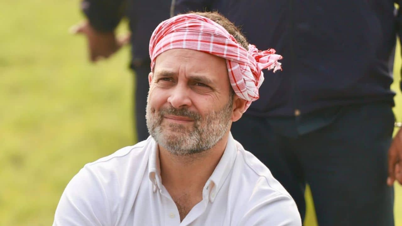 Rahul Gandhi: বিড়ি নিয়ে মারাত্মক ভুল ধারণা ছিল রাহুলের, ভাঙল বাংলায় এসে! নিজেই শোনালেন সে কাহিনি