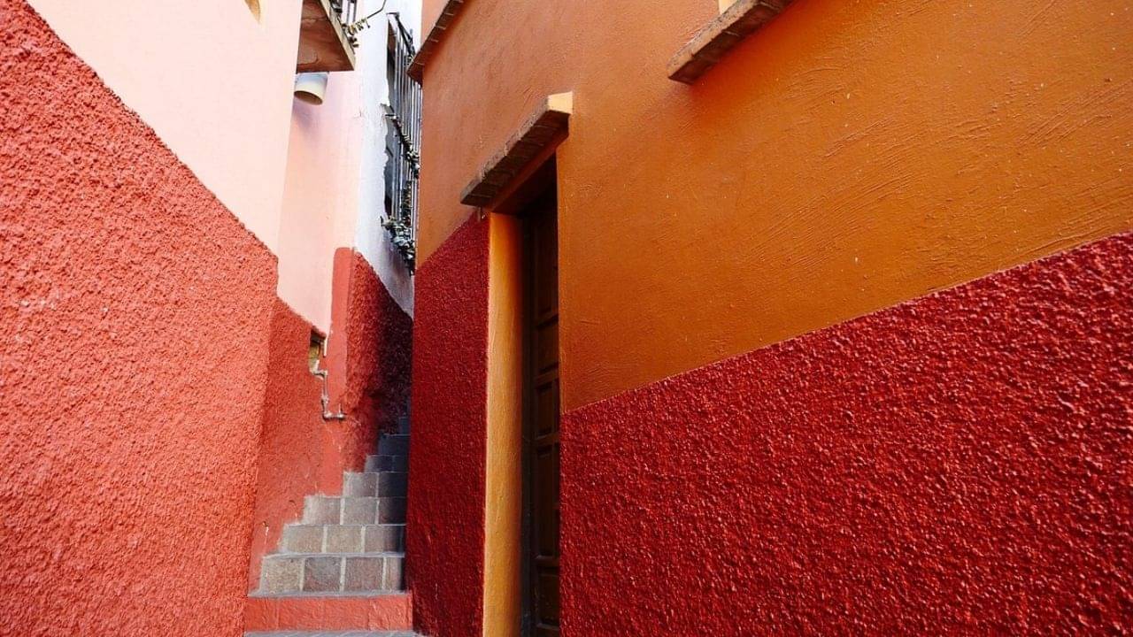 Kiss Street: সকাল-সন্ধে এই গলিতে সবাই চুমু খেতে যান!