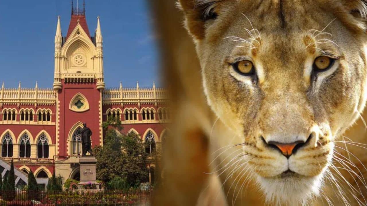 Calcutta High Court: সিংহীর নাম বদল চেয়ে মামলা কলকাতা হাইকোর্টে