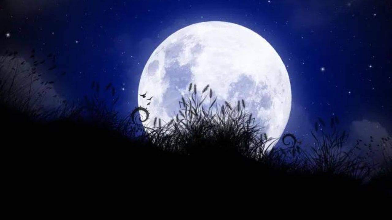 Magh Purnima 2024: মাঘী পূর্ণিমায় চুল-নখ কাটবেন না! ভুলেও আর কী কী করবেন না?