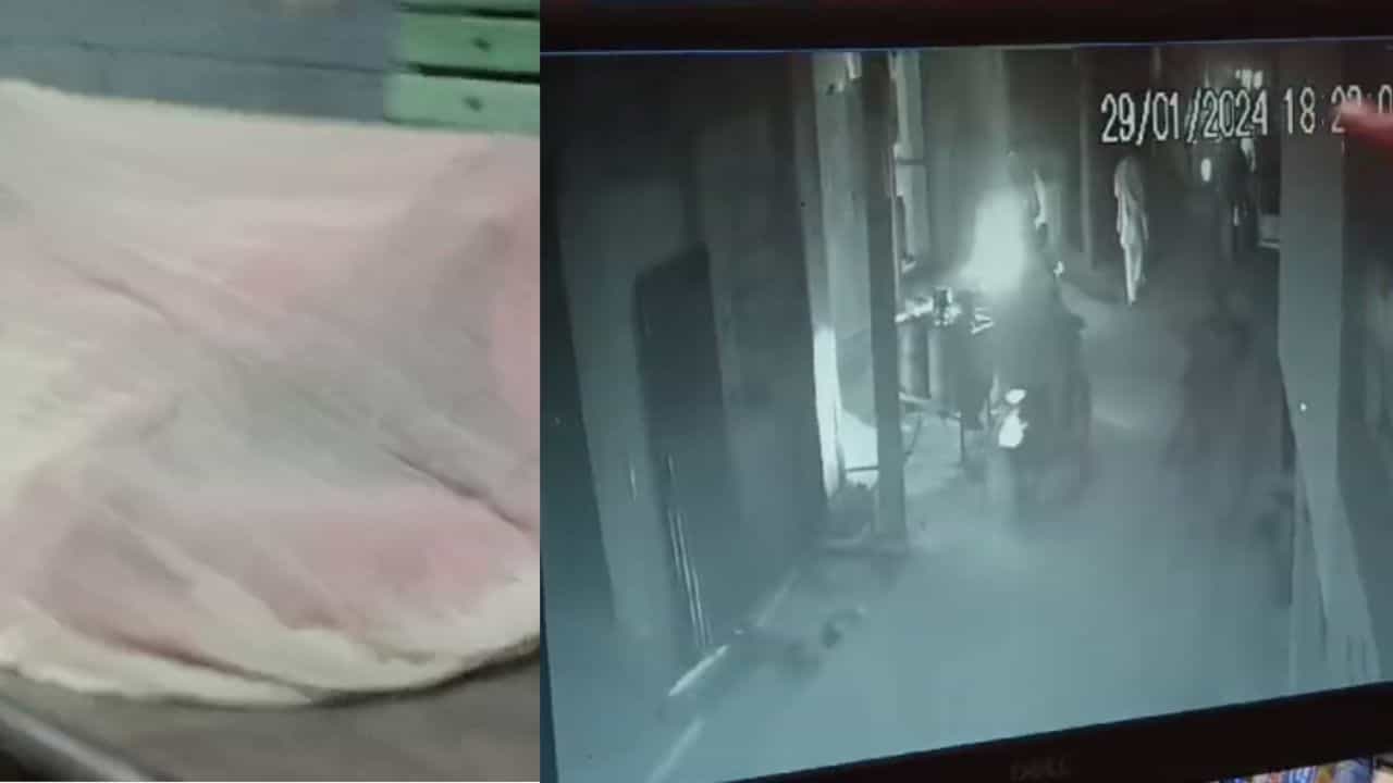 Malda Minor Girl Murder: নারকীয়! মালদহে নির্যাতনের পর ১০ বছরের মেয়ের মুণ্ড কেটে ছোড়া হল পাশের বাড়ির ছাদে, দেহ ঝোপে Malda Minor Girl Murder: নারকীয়! মালদহে নির্যাতনের পর ১০ বছরের মেয়ের মুণ্ড কেটে ছোড়া হল পাশের বাড়ির ছাদে, দেহ ঝোপে
