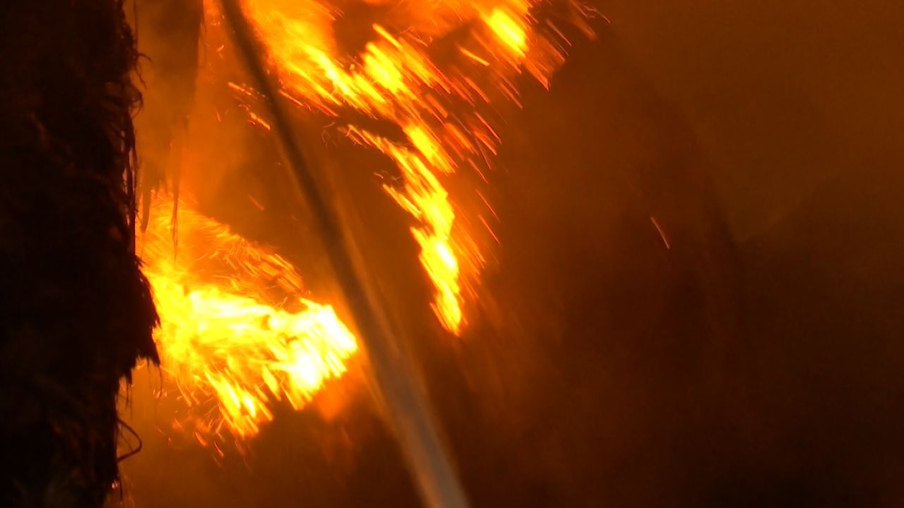 Narkeldanga Fire: নারকেলডাঙায় জুটমিলে আগুন, ঘটনাস্থলে দমকলের ১০ টি ইঞ্জিন Narkeldanga Fire: নারকেলডাঙায় জুটমিলে আগুন, ঘটনাস্থলে দমকলের ১০ টি ইঞ্জিন