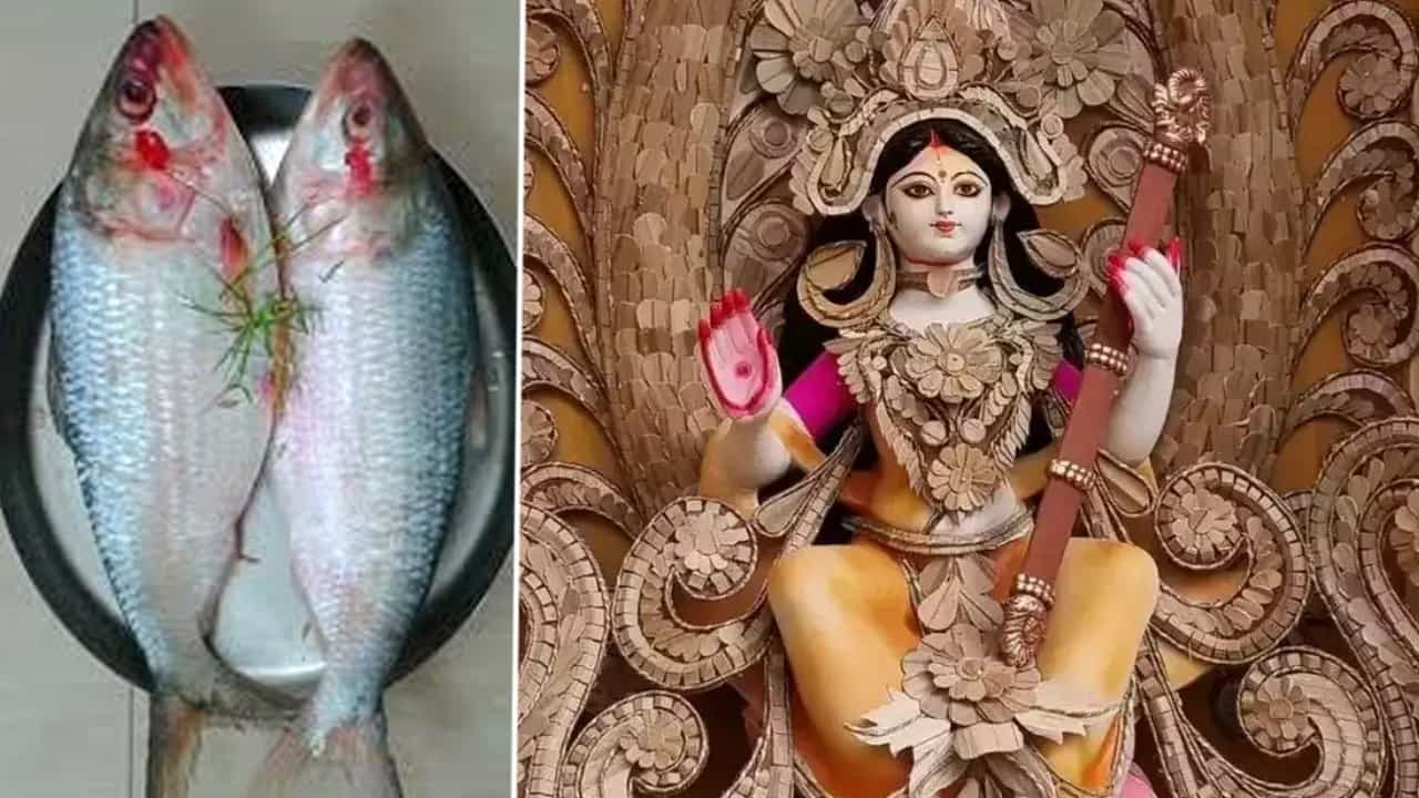 Saraswati Puja 2024: সকালে জোড়া ইলিশে পুজো হয়েছে? রাতে বানাতে পারেন হালকা এই দুটি পদ Saraswati Puja 2024: সকালে জোড়া ইলিশে পুজো হয়েছে? রাতে বানাতে পারেন হালকা এই দুটি পদ