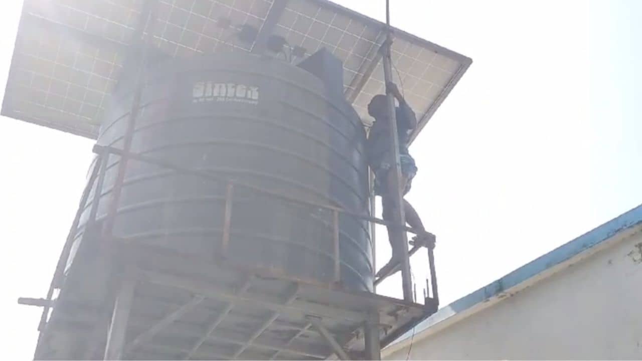 School: জলের ট্যাঙ্কের ভিতরে মরা কুকুর ছানা, সেই জলই পান করল স্কুলের বাচ্চারা