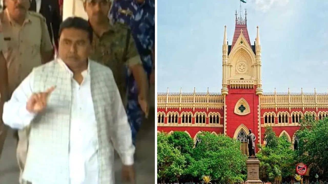 HC On Sheikh Shajahan: আপনার ওপরওয়ালার সঙ্গে কথা বলব, শাহজাহান নাম উঠতেই ভরা এজলাসে কোন প্রেক্ষিতে বললেন বিচারপতি?