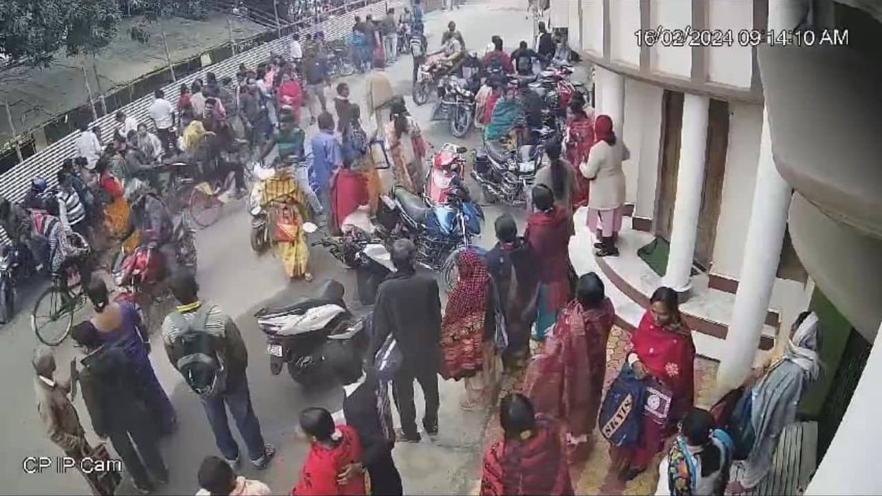 Balurghat Higher Secondary: পরীক্ষাকেন্দ্রের সামনেই ষাঁড়ের লড়াই, পরীক্ষার আগেই ঘটে গেল ভয়ঙ্কর ঘটনা