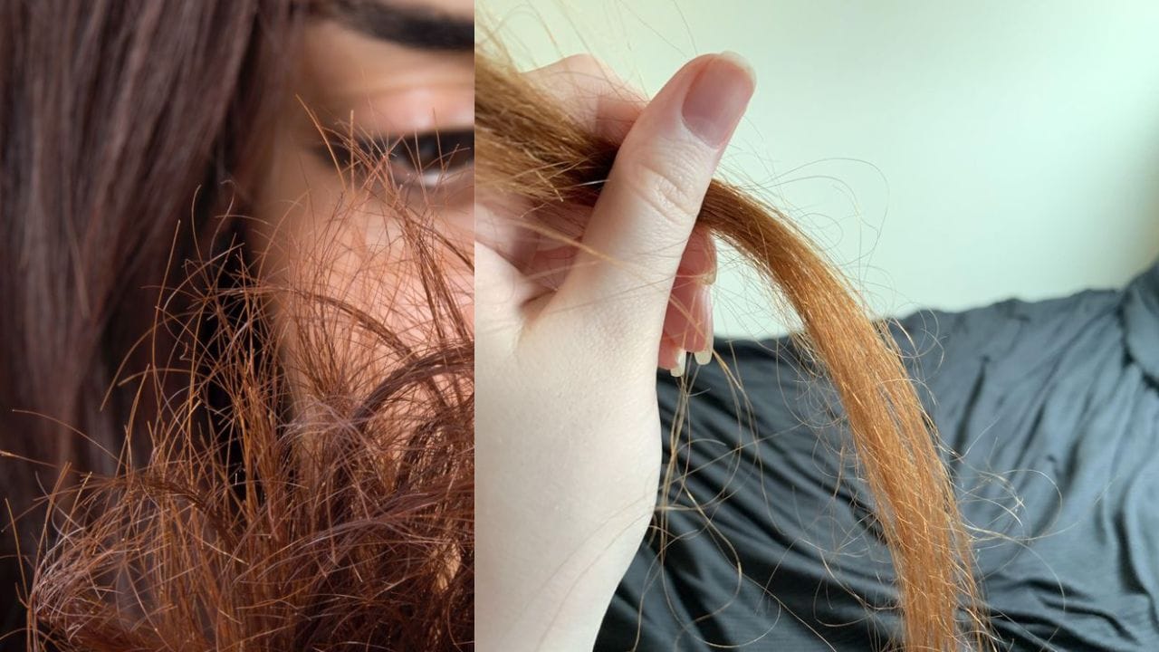 অনেকেই ঘন-ঘন ব্লো ড্রায়ার ব্যবহার করেন। এতে চুলের ক্ষতি হয় ও আর্দ্রতা নষ্ট হয়। তাই চুলে বেশি তাপ দেওয়া যাবে না। এতে চুলের ডগা ফাটতে পারে। (ছবি:Pinterest)