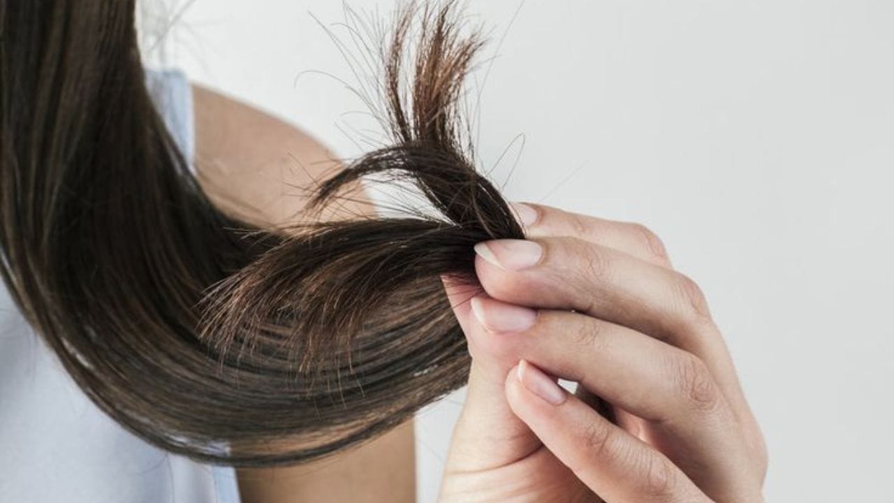 মূলত আর্দ্রতার অভাবে চুলের ডগা ফাটে। চুল ও স্ক্যাল্প অতিরিক্ত শুষ্ক হয়ে গেলে এই সমস্যা দেখা যায়। এর জন্য স্ক্যাল্পের আর্দ্রতা বজায় রাখা জরুরি। (ছবি:Pinterest)