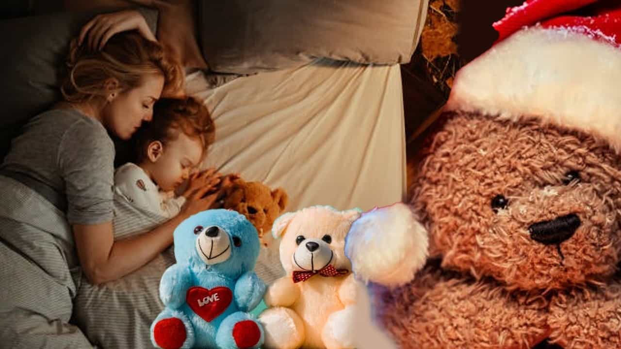 Teddy Day 2024: প্রেমিকার মন ভাল করতেই নয়, মানসিক স্বাস্থ্য উন্নত করতেও সাহায্য করে টেডি, কীভাবে? Teddy Day 2024: প্রেমিকার মন ভাল করতেই নয়, মানসিক স্বাস্থ্য উন্নত করতেও সাহায্য করে টেডি, কীভাবে?