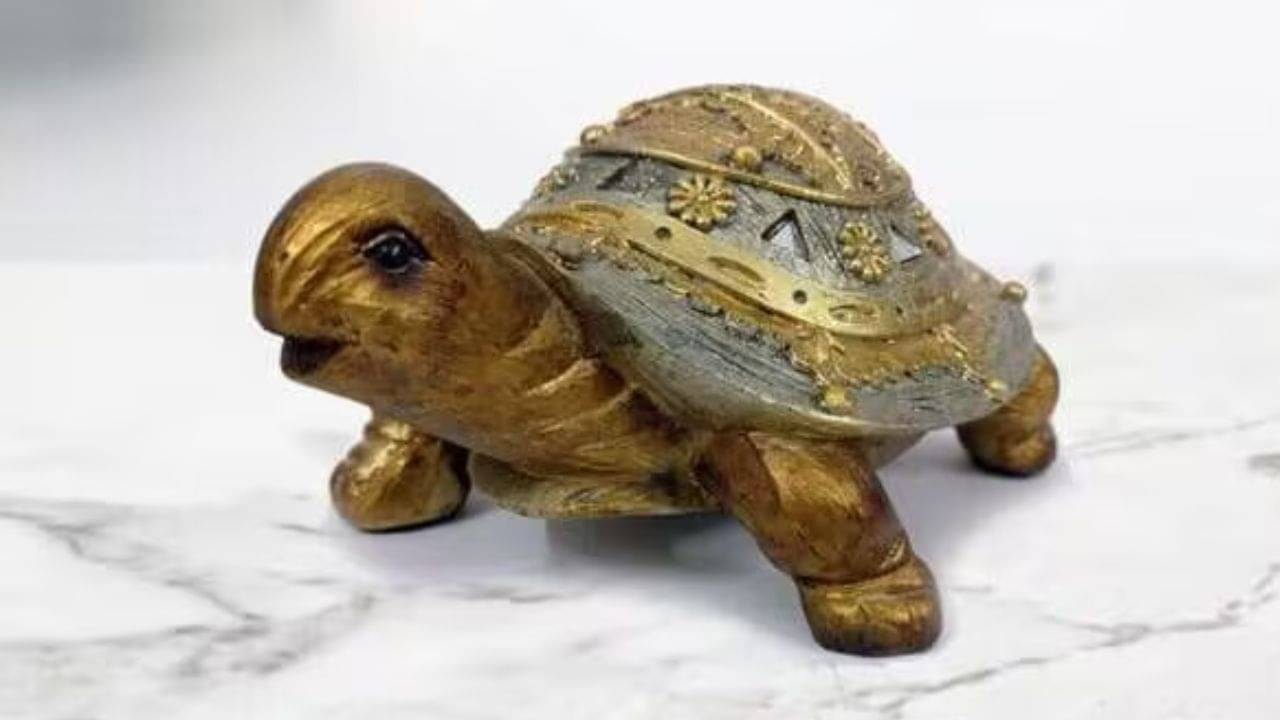 Importance Of Tortoise In Vastu: বাড়ির কোন দিকে ধাতুর কচ্ছপ রাখা সবচেয়ে শুভ? সংসারে থাকবে সুখ-শান্তি-সমৃদ্ধি