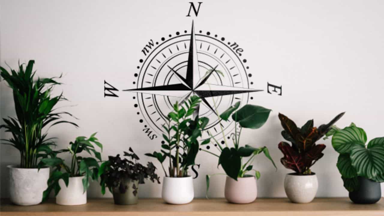 Vastu Tips for Home: বাড়ির কোনদিকে গাছ লাগানো সবচেয়ে শুভ? সংসারে আসবে সুখ-শান্তির বন্যা Vastu Tips for Home: বাড়ির কোনদিকে গাছ লাগানো সবচেয়ে শুভ? সংসারে আসবে সুখ-শান্তির বন্যা