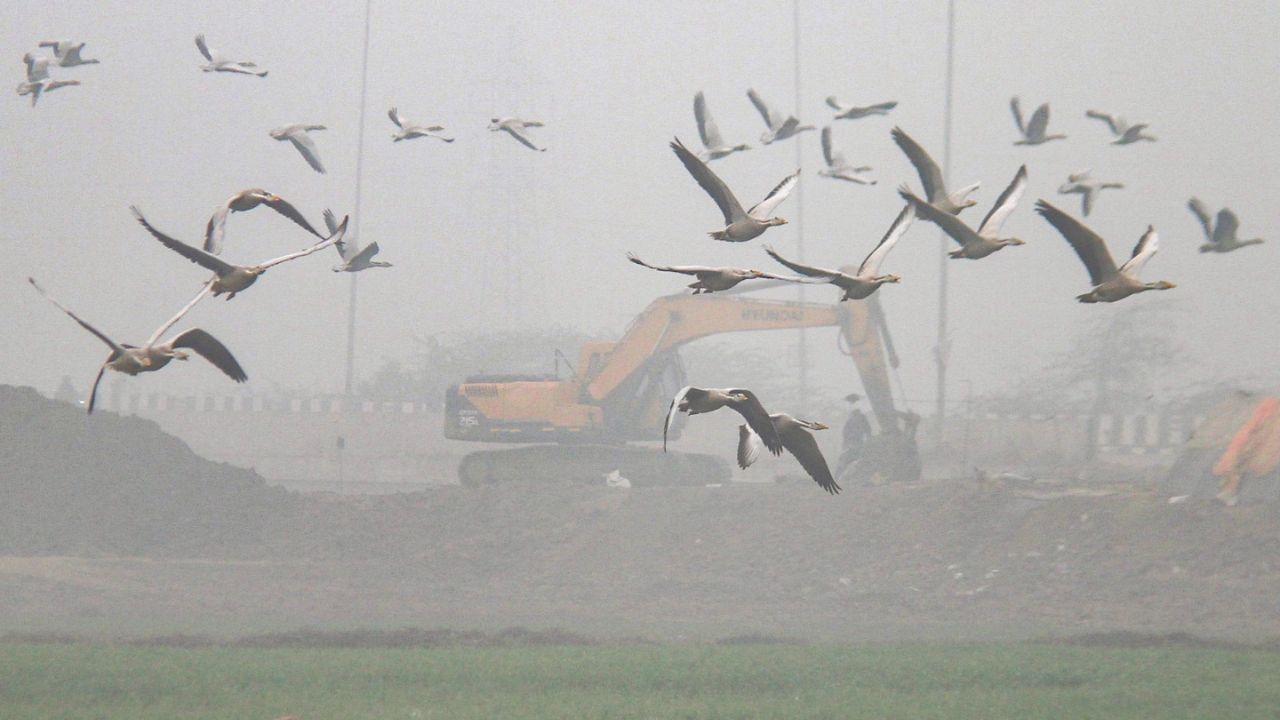 Weather Update: তবে কি শীত বিদায় নিচ্ছে? আবহাওয়াবিদরা অবশ্য বলছেন অন্য কথা