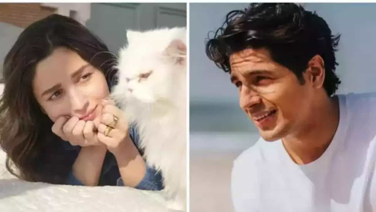 মিষ্টি প্রেম ছিল তাঁদের। প্রেমের মেয়াদ ছিল বড়ই অল্প। তবে বলিউডের অনেকেরই পছন্দের জুটি ছিলেন তাঁরা। এ হেন আলিয়া ভাট ও সিদ্ধার্থ মালহোত্রার প্রেম ভেঙে যায় হঠাৎই। ওঠে পরকীয়ার অভিযোগ।