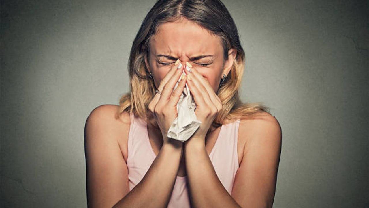 Allergy Problem: শুধুমাত্র ধুলোবালি আর দূষণেই  ডাস্ট অ্যালার্জি হয় না, পোকামাকড়ও কারণ হতে পারে