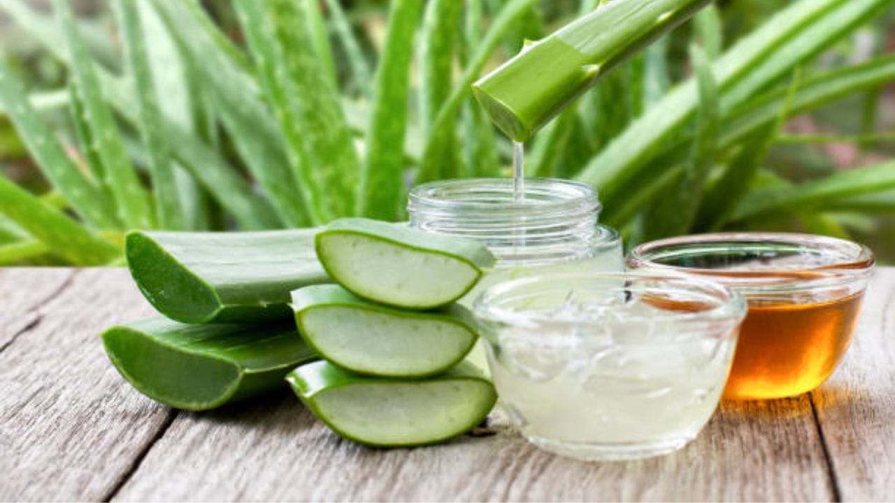 স্বাদের জন্য অনেকেই অ্যালোভেরার রস খেতে চান না। এক্ষেত্রে আপনি অ্যালোভেরার রসে এক চামচ মধু মিশিয়ে খান। এতে অ্যালোভেরার রসের স্বাদ ভাল হবে। পাশাপাশি মধুও ওজন কমায় এবং ইমিউনিটি বৃদ্ধি করতে সাহায্য করে।