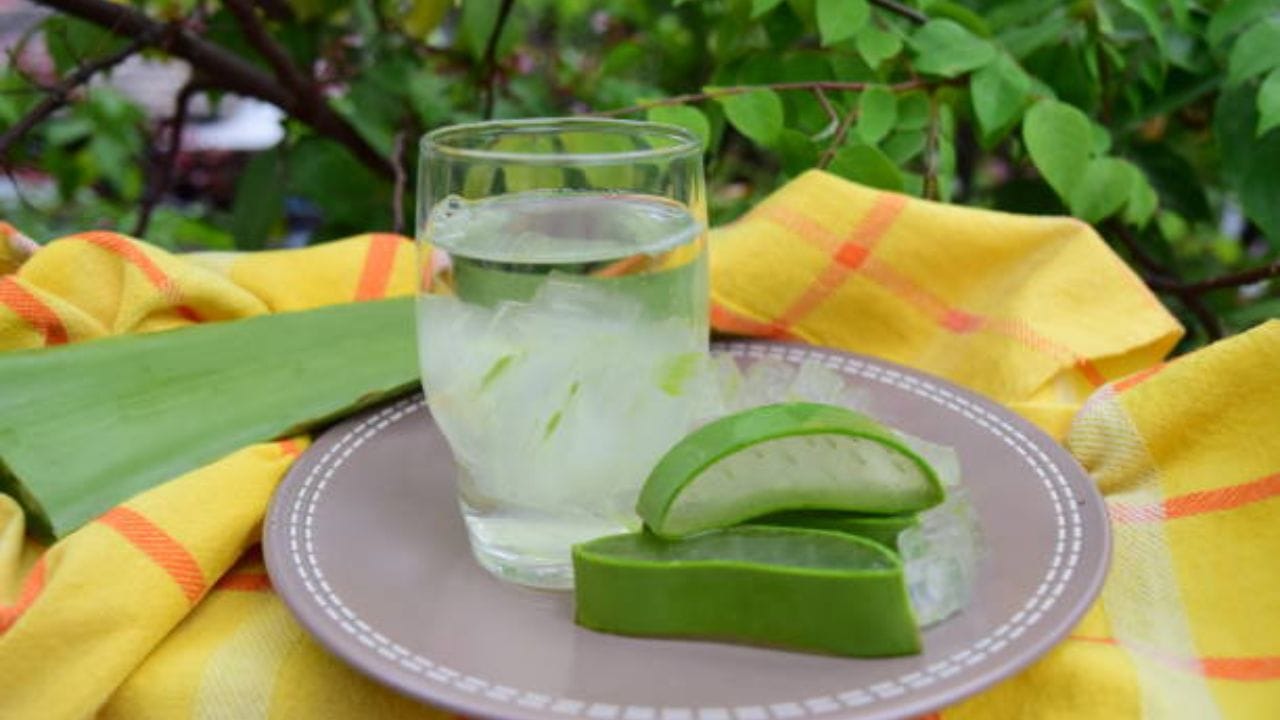 দুপুরে ভাত খেতে বসার ৩০ মিনিট আগে অ্যালোভেরার রস পান করুন। অ্যালোভেরার রসের সঙ্গে লাউয়ের রস মিশিয়ে খান। এতে বিপাকহার বাড়বে এবং দ্রুত ওজন কমাতে পারবেন।