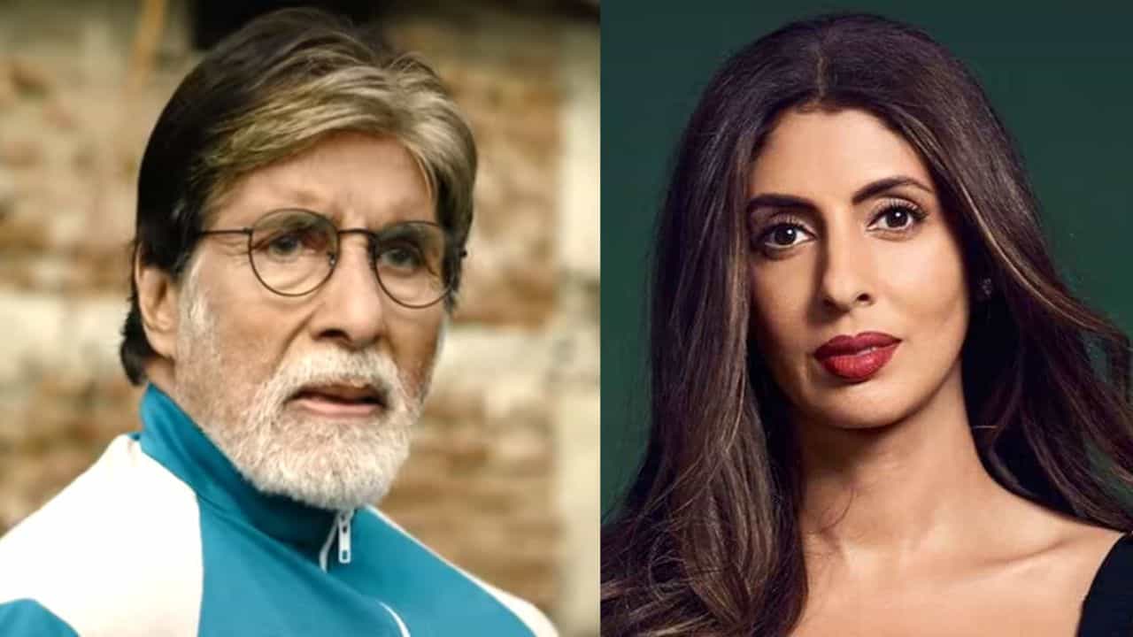 'ছোট চুলের মেয়ে দেখলেই বাবা...', বিতর্কের মধ্যেই এ কী বললেন শ্বেতা!