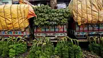 Banana Export: কলাতেই কেল্লাফতে! কেন রাশিয়াতে কাঁদি কাঁদি কলা পাঠাচ্ছে ভারত