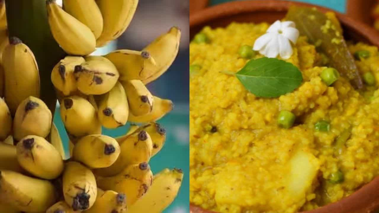 Thursday Tips: লক্ষ্মীবারে খিচুরি ও কলা খাওয়া নিষিদ্ধ! কারণ জানলে চমকে যাবেন Thursday Tips: লক্ষ্মীবারে খিচুরি ও কলা খাওয়া নিষিদ্ধ! কারণ জানলে চমকে যাবেন
