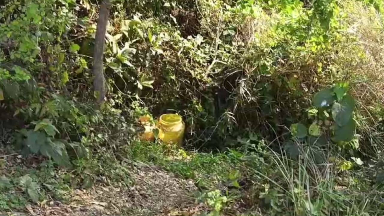 Bomb Recover: জঙ্গলের ভিতরে লুকিয়ে রাখা ২টি ড্রাম, তার ভিতর থেকেই মিলল প্রাণঘাতী জিনিস