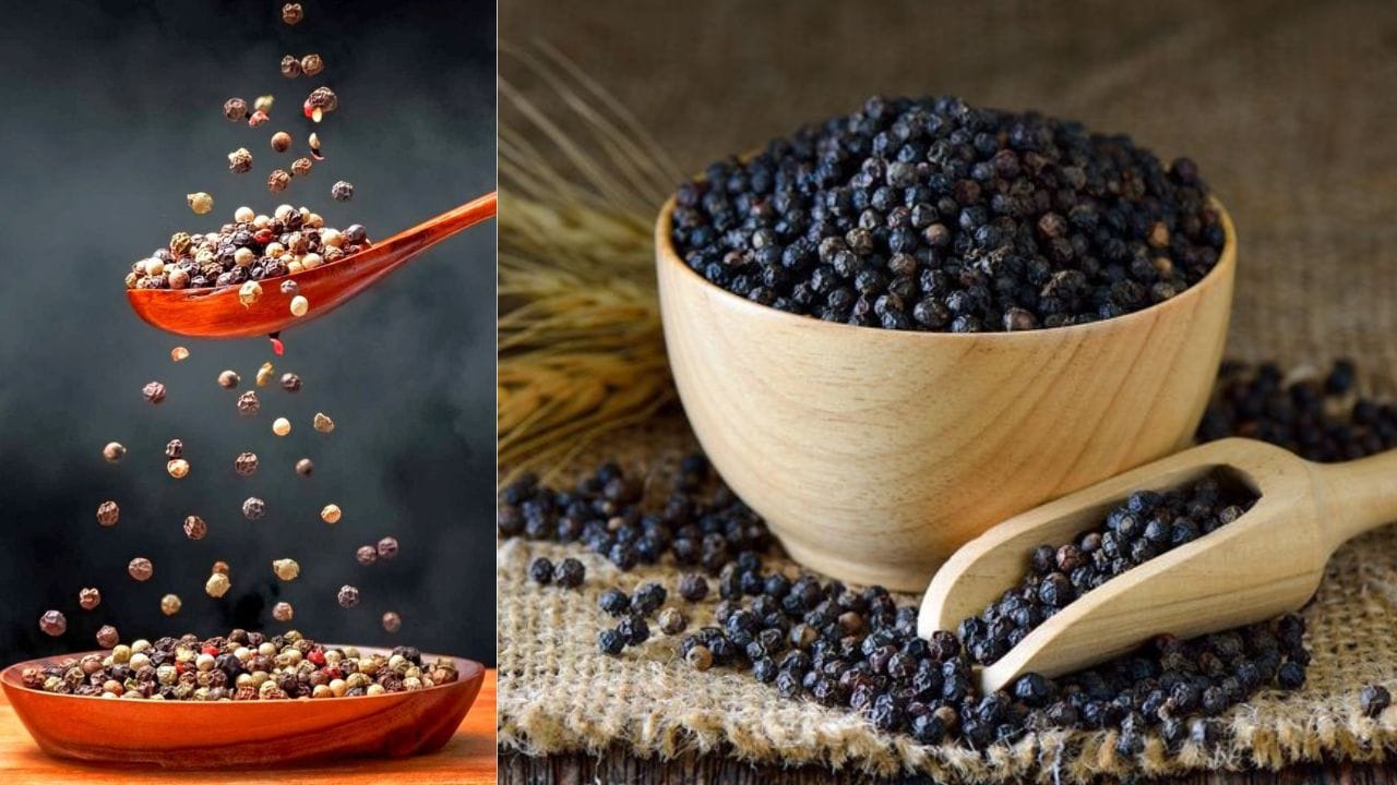 ক্যানসার থেকে কোলেস্টেরল নিয়ন্ত্রণে থাকবে সব, পাতে থাকুক গোলমরিচ