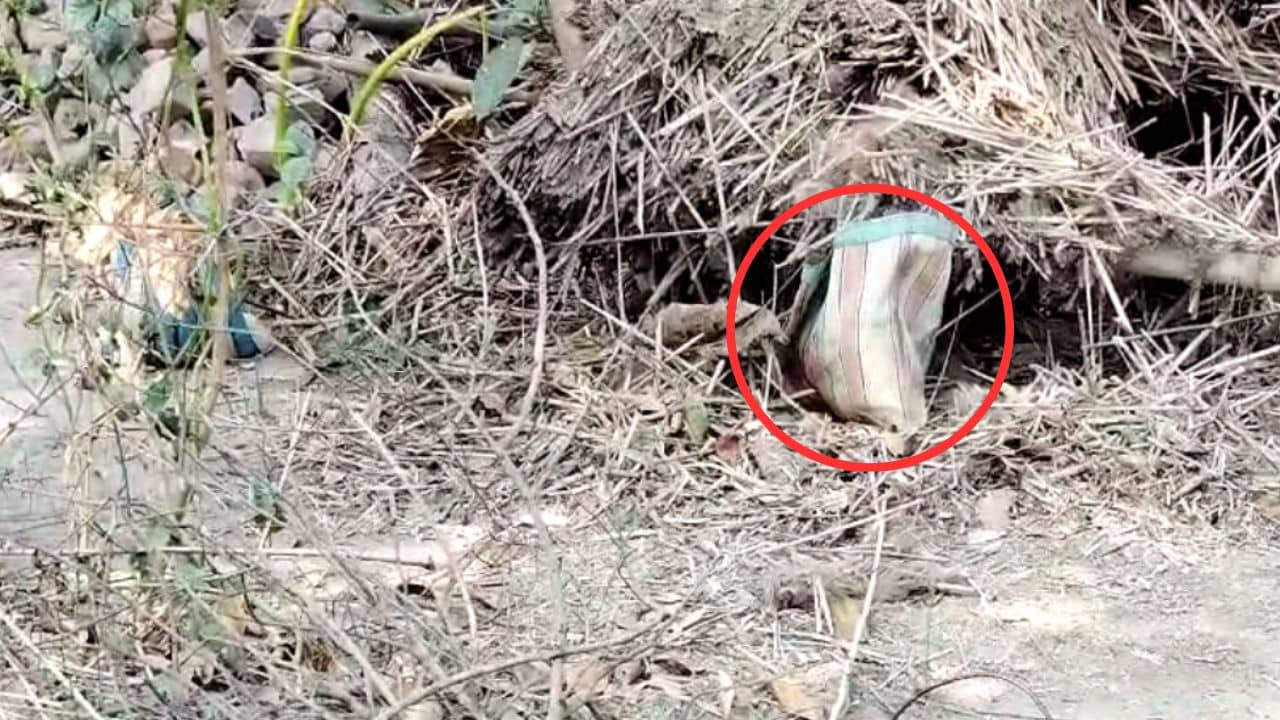 Murshidabad Bomb Recover: পড়ে থাকা চটের ব্যাগ নিয়েই যত হইচই, ভিতরে ভয়ঙ্কর জিনিস