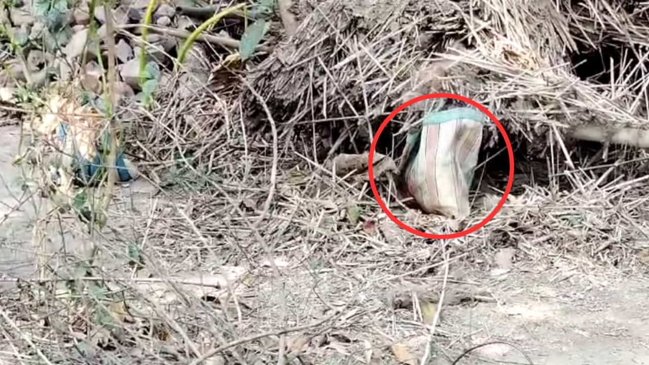 Murshidabad Bomb Recover: পড়ে থাকা চটের ব্যাগ নিয়েই যত হইচই, ভিতরে ভয়ঙ্কর জিনিস