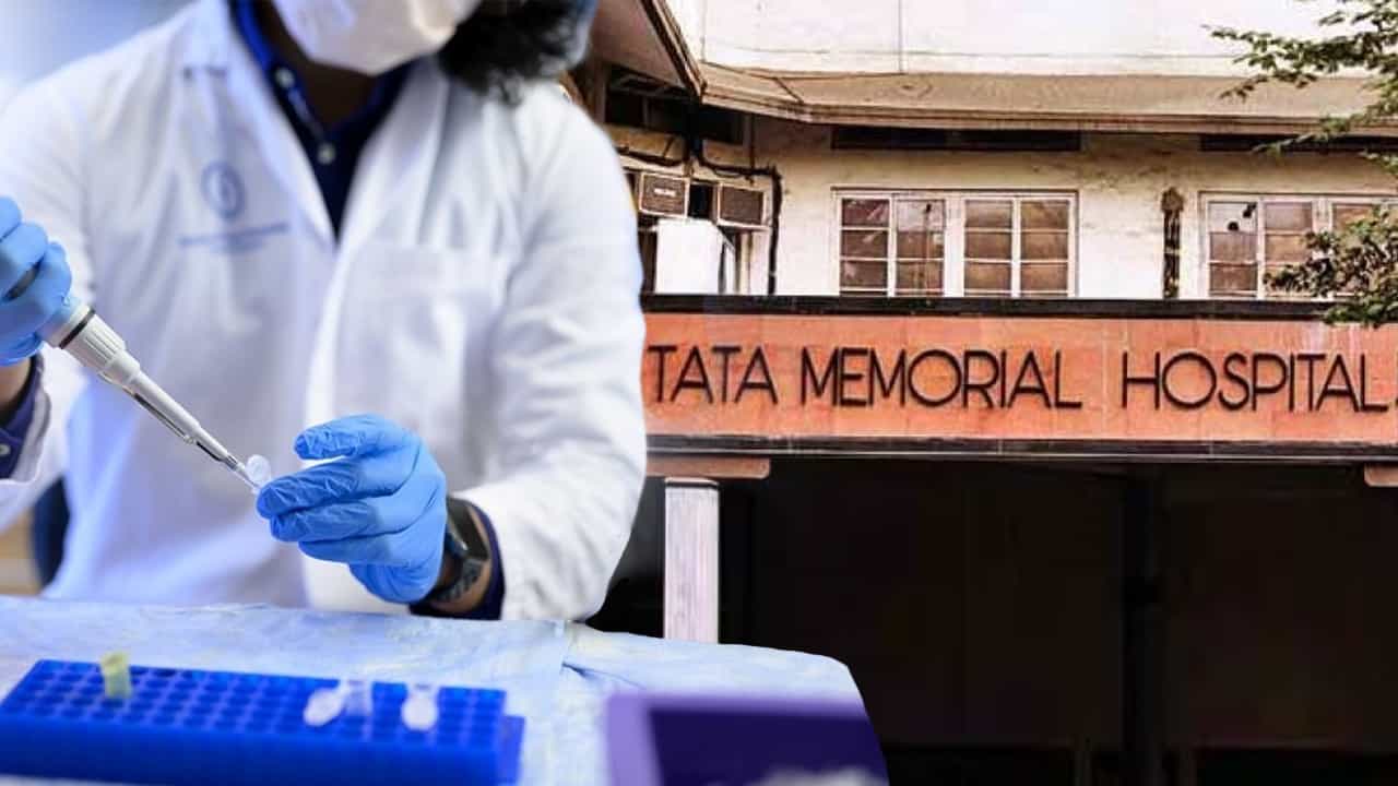 Cancer Treatment: ১০০ টাকার ওষুধেই 'ক্যান্সার-মুক্তি', যুগান্তকারী গবেষণা টাটা ক্যান্সার ইন্সটিটিউটের Cancer Treatment: ১০০ টাকার ওষুধেই 'ক্যান্সার-মুক্তি', যুগান্তকারী গবেষণা টাটা ক্যান্সার ইন্সটিটিউটের