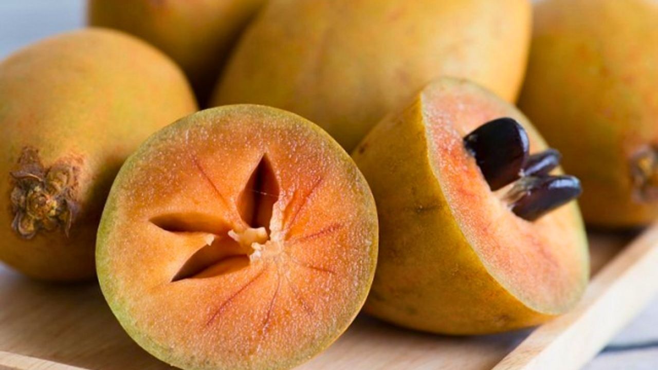 শুধু তাই নয়, একইসঙ্গে ওজন কমানো থেকে শুরু করে কোষ্ঠকাঠিন্যের সমস্যা দূর, সবই হয় এই সবেদার গুণে। যেহেতু এতে প্রচুর ফাইবার আছে, তাই এটি একটি প্রাকৃতিক ল্যাক্সেটিভের ভূমিকা পালন করে।