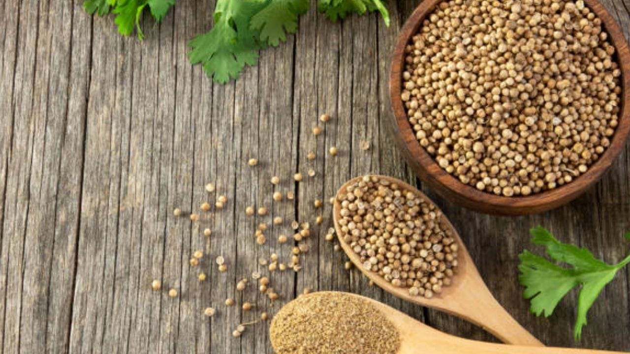 মূলত, মূত্রনালীতে সংক্রমণের কারণে প্রস্রাবের সময় জ্বালা, যন্ত্রণা হয়। এই সংক্রমণ কাটাতে ঘরোয়া অব্যর্থ ওষুধ হিসাবে কাজ করে ধনে বীজ ও ধনে বীজের জল। বিশেষজ্ঞদের মতে, মূত্রনালীর সংক্রমণে ধনে বীজের জল 'সুপার হিরো'