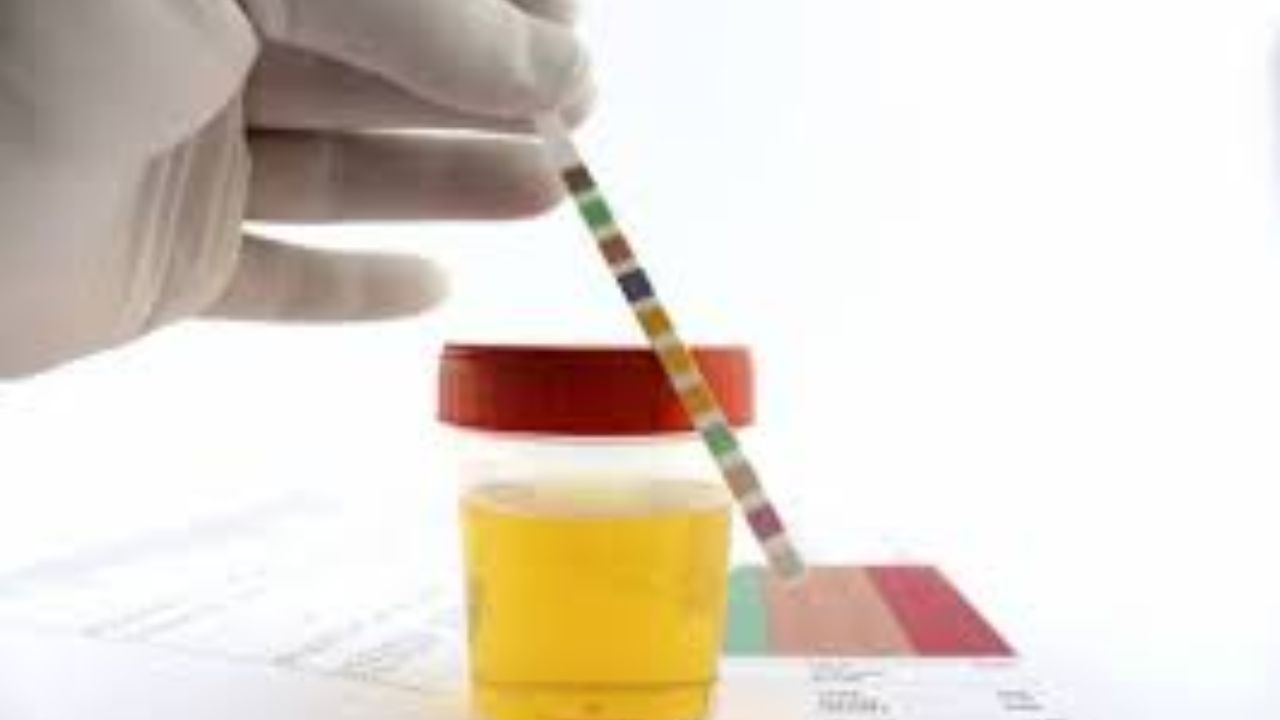 মূত্রনালীর সংক্রমণ কমানোর পাশাপাশি রক্তে শর্করার মাত্রা নিয়ন্ত্রণে রাখতেও সহায়ক ধনে বীজের জল। তাই ডায়াবেটিসের রোগীরও রোজ সকালে ধনে বীজের জল খেতে পারেন