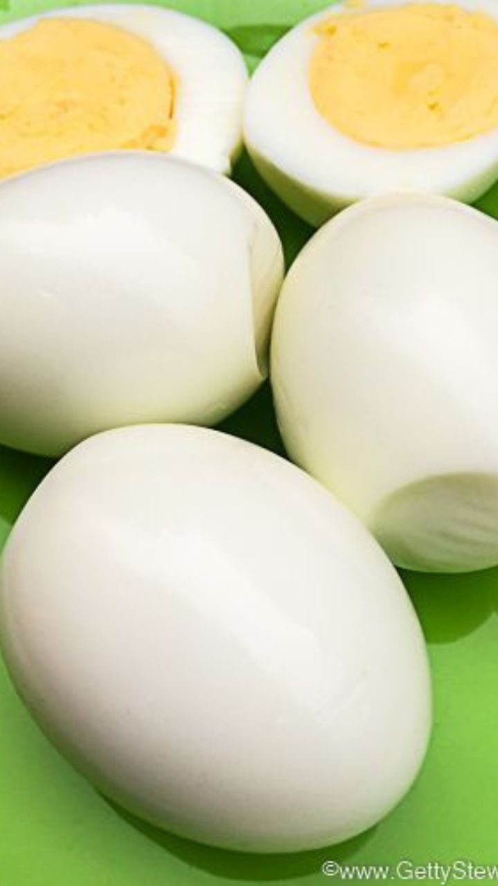 egg (1)