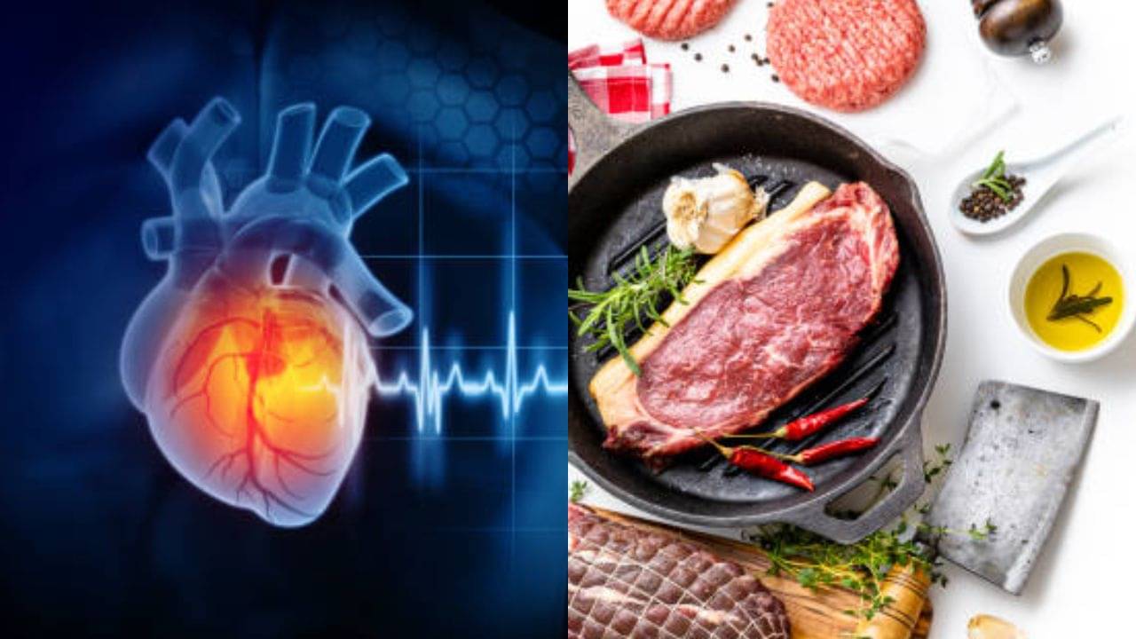 খাবারে প্রোটিনের পরিমাণ বেশি থাকে? নিশ্চুপে বাড়ছে হৃদরোগের ঝুঁকি